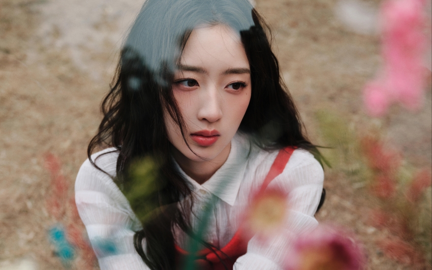 欢迎使用Z-BlogPHP!